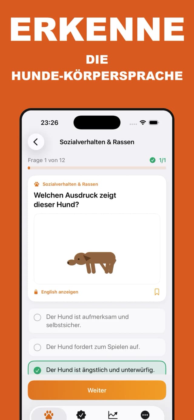 Hundeführerschein – Bildfrage zur Körpersprache von Hunden