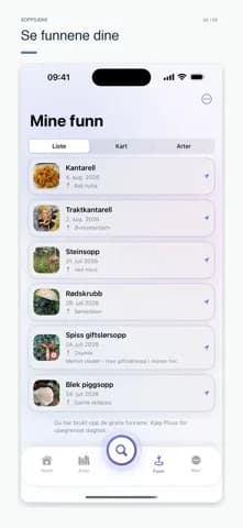 Soppsjekk species library with mushroom characteristics