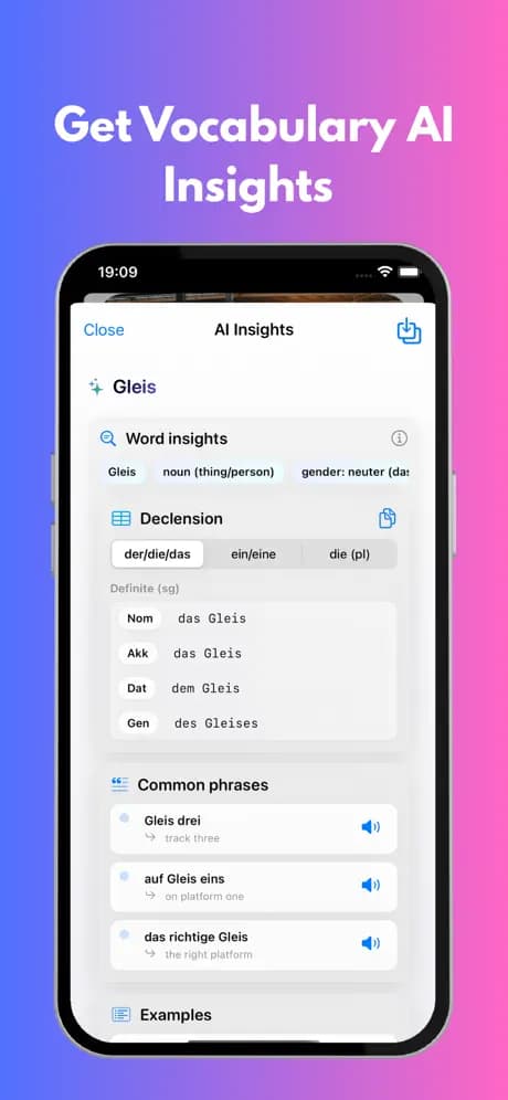 LesenLab instant translation